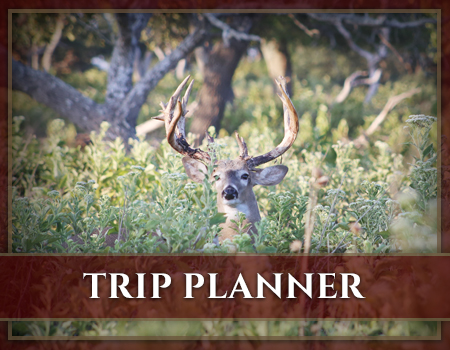 Cinco Canyon Ranch Trip Planner